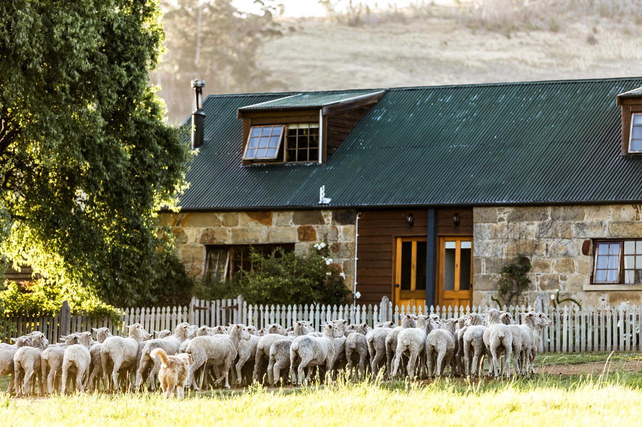 Daisy Bank Cottages Richmond Exterior photo