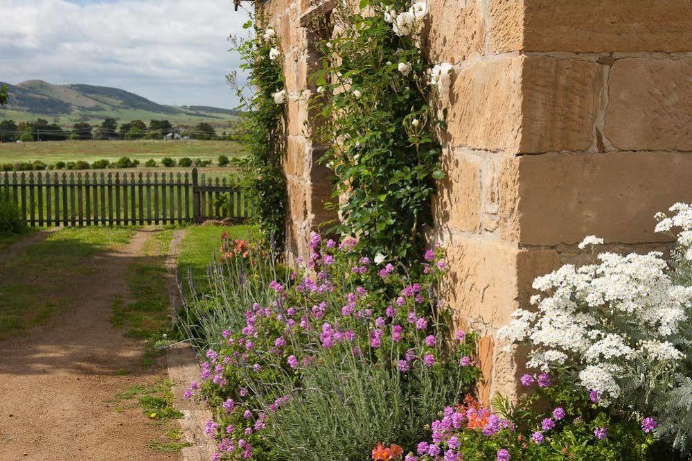Daisy Bank Cottages Richmond Exterior photo