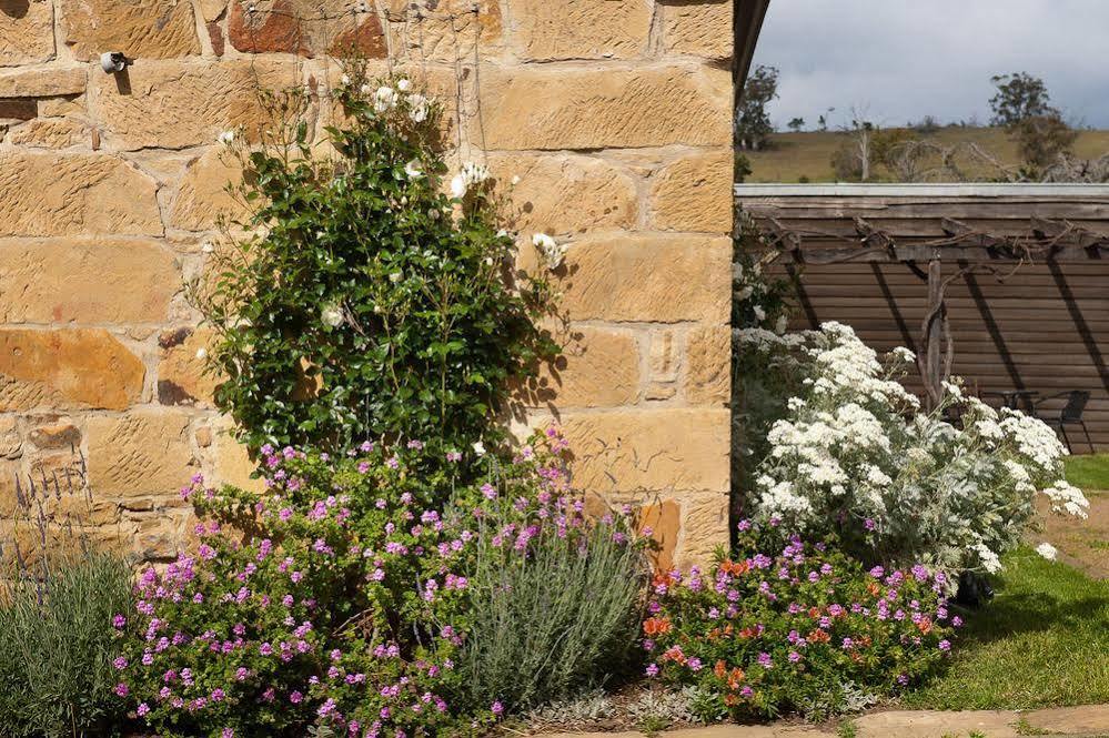 Daisy Bank Cottages Richmond Exterior photo